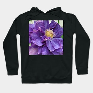 Gorgeous Purple Flower Hoodie